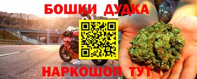 гашик Бийск