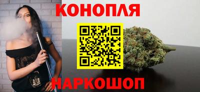 гашик Бийск