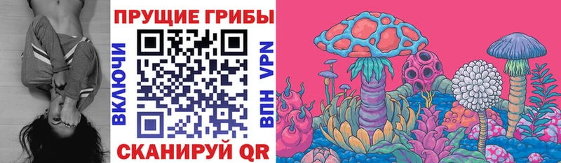 Галлюциногенные грибы MAGIC MUSHROOMS  Дубна 