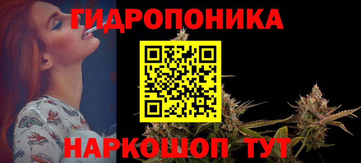 Каннабис индика Дубна